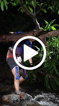 BIB:  <button type="button" onclick="openModal(27824811)" class="btn btn-primary btn-sm float-right" data-toggle="modal" data-target=".modal-high-quality">
                <i class="fa fa-download"></i> Download
                </button>